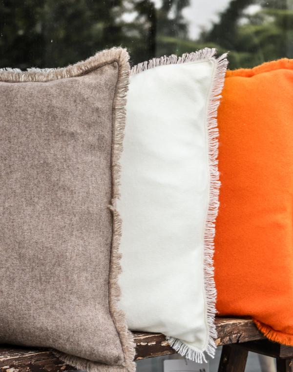 Cushion